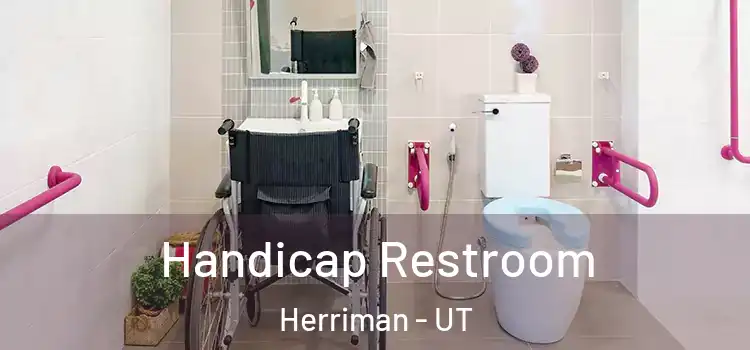 Handicap Restroom Herriman - UT
